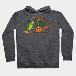 Amazon Parrot "Witch is you wanting? Trick or Treat" Hoodie